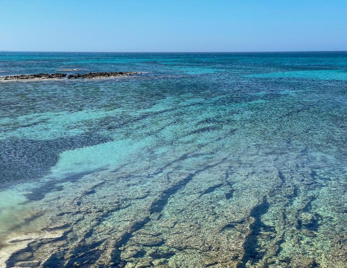Masseria Bosco Mazza Мелендуньо Екстериор снимка